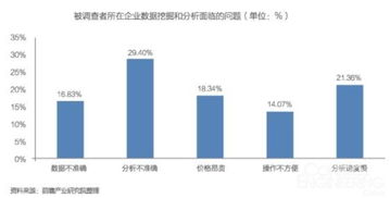 中国大数据产业发展前景与投资规划分析——聚焦数据处理服务